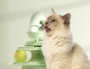 Catnip infused ball toy