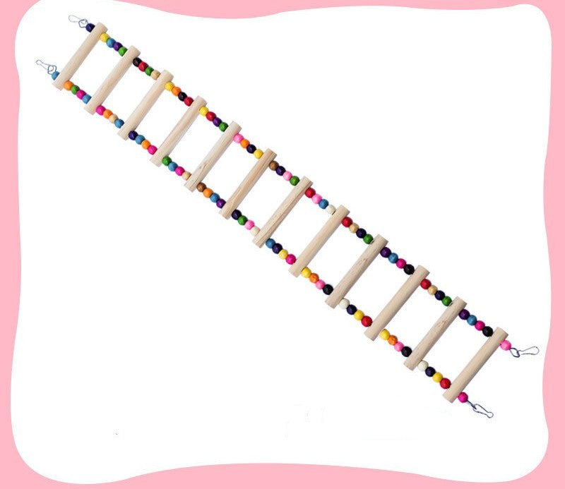 Colorful Parrot Swing