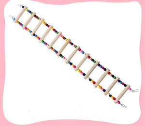 Colorful Parrot Swing