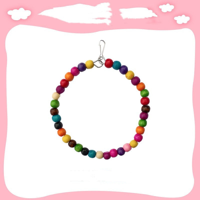 Colorful parrot rope and swing