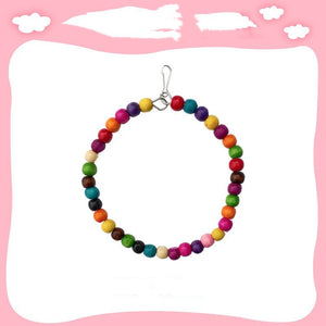 Colorful parrot rope and swing