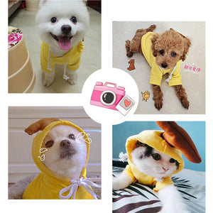 Cute Chihuahua hoodie for winter