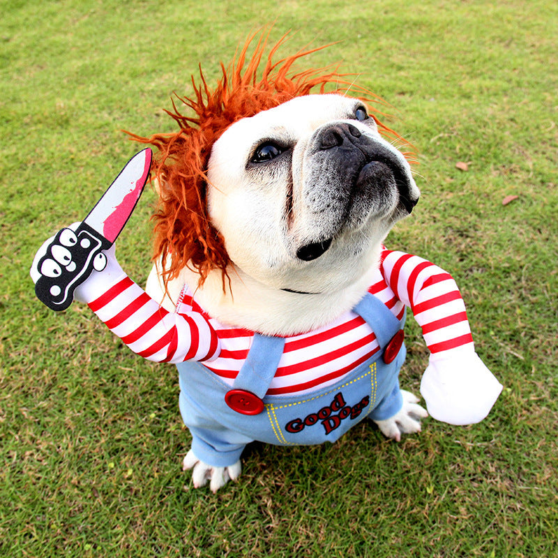 Cute Scary Cat Halloween Costume USA