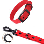 Dog Collar and Leash Set