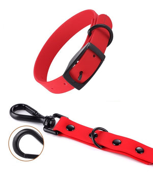 Dog Collar and Leash Set