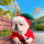 Dog costume apple style with drawstring