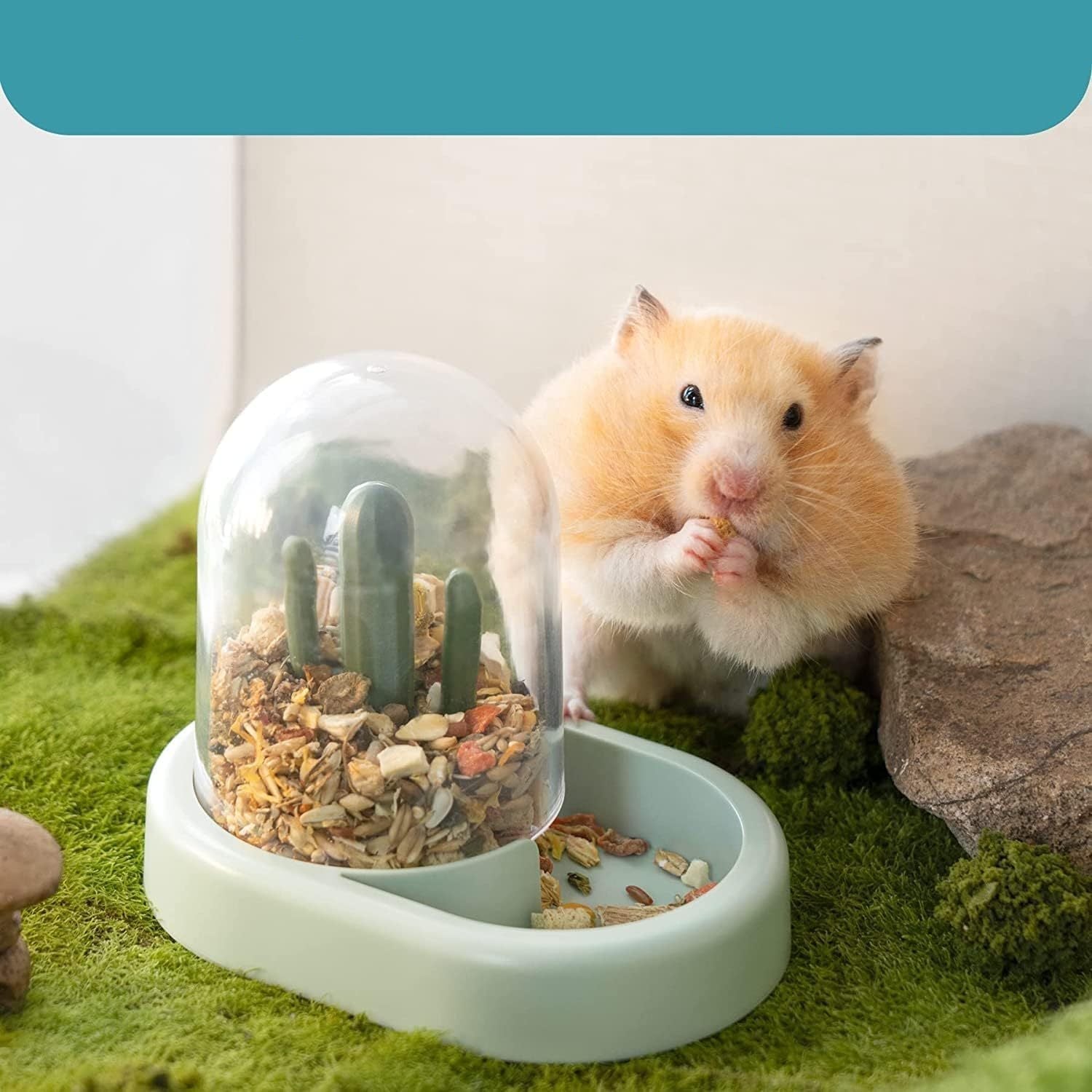 Dual-use hamster feeder and bath