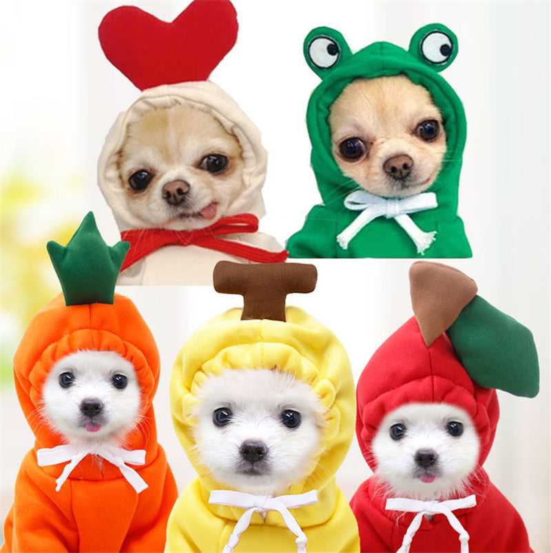 French Bulldog carrot hoodie for cold weather