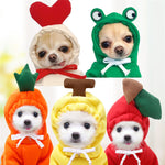 French Bulldog carrot hoodie for cold weather