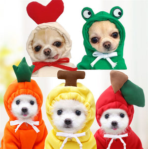 French Bulldog carrot hoodie for cold weather