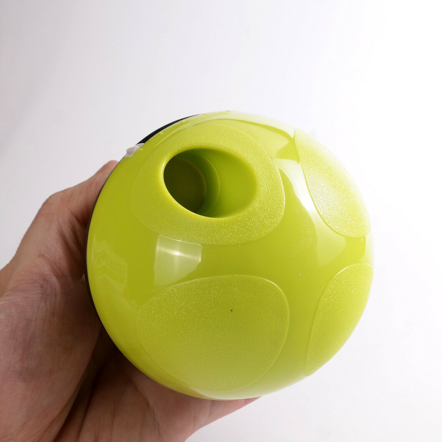 IQ training dog toy