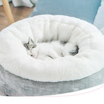 Small dog bed nest indoor