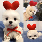 Soft fleece fruit dog sweater