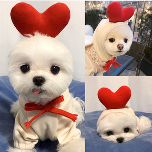 Soft fleece fruit dog sweater