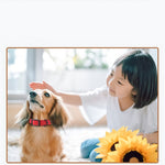 Soft silicone dog collar