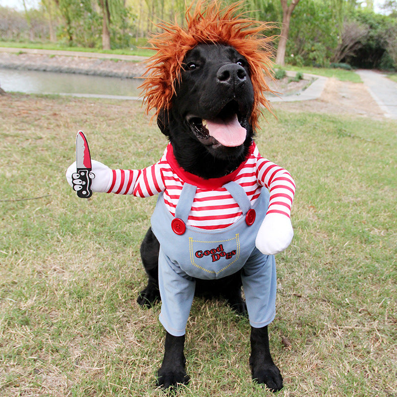 Spooky Halloween Dog Clothes USA