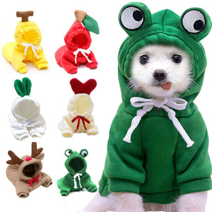 USAPetCare fruit hoodie for small dogs