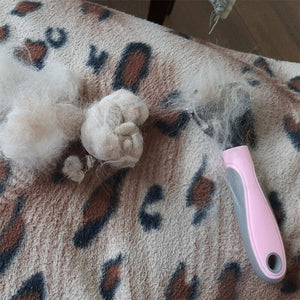 USAPetCare grooming brush in blue