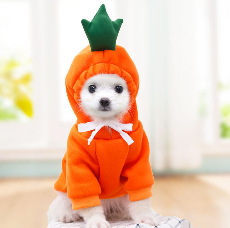 Warm pet hoodie coat for puppies
