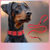 Waterproof Dog Leash