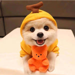 pet hoodie with radish print 